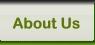 GreenTree Hosting - About Us