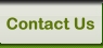 GreenTree Hosting - Contact Us