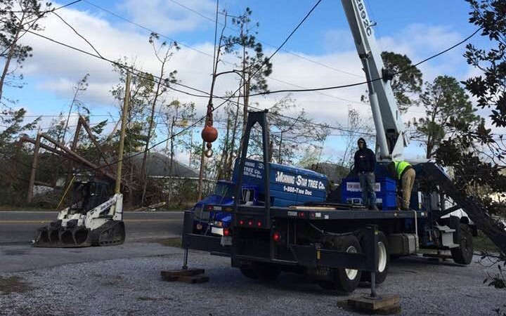 Morning Star Tree Company: 46-Year Master Arborist, Crane Extraction & National Storm Command Platform